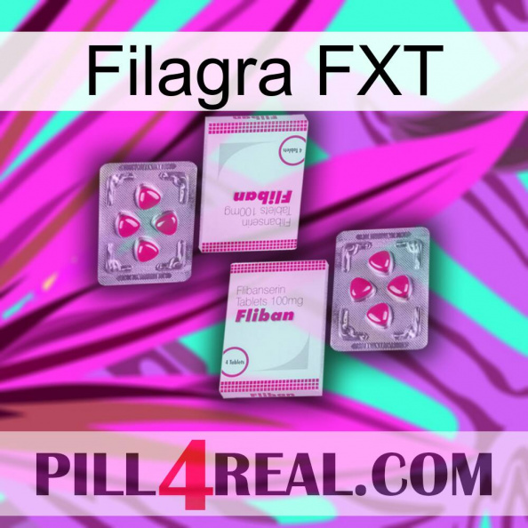 Filagra FXT 33.jpg